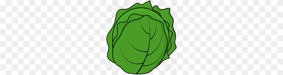 Premium Cabbage Icon Download, Food, Head Cabbage, Leafy Green Vegetable, Plant Png Image