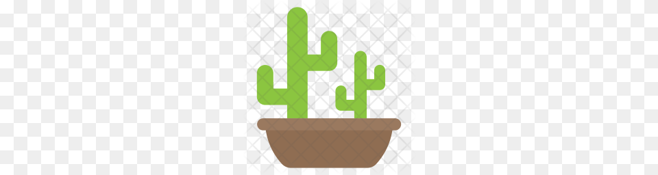 Premium Cactus Icon Download, Plant, Potted Plant, Jar, Planter Free Transparent Png