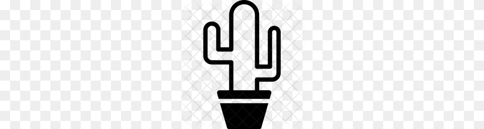 Premium Cactus Icon Download, Pattern, Texture Png