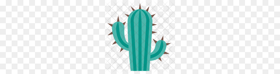 Premium Cactus Icon Download, Plant Free Png