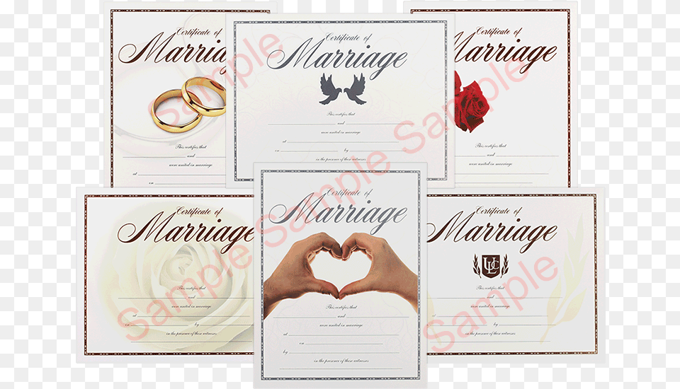 Premium Certificate Of Marriage Paper, Text, Adult, Female, Person Free Png