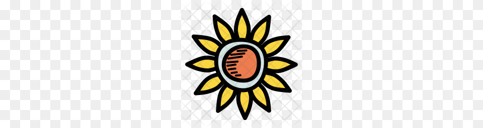 Premium Chrysanthemum Icon Download, Flower, Plant, Sunflower Png