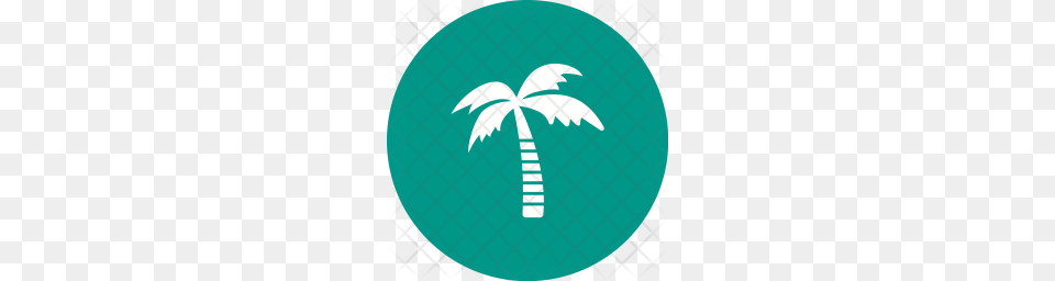 Premium Coconut Tree Icon Download, Palm Tree, Plant, Leaf Free Transparent Png