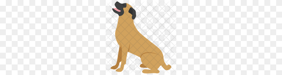 Premium English Mastiff Icon Animal, Canine, Mammal, Boxer Free Png Download