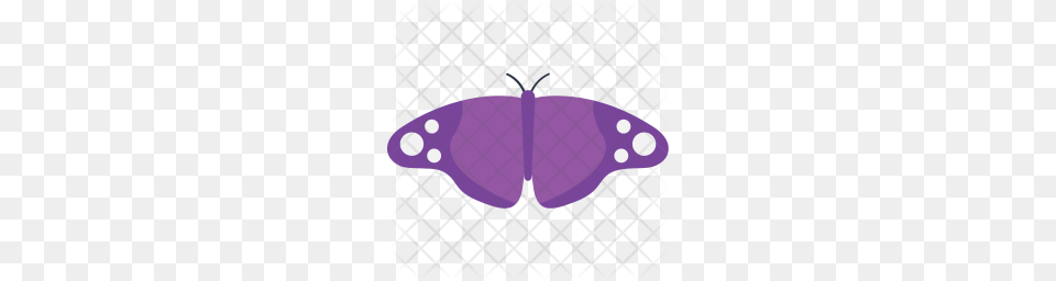 Premium Erebid Moth Butterfly Icon Purple Free Png Download