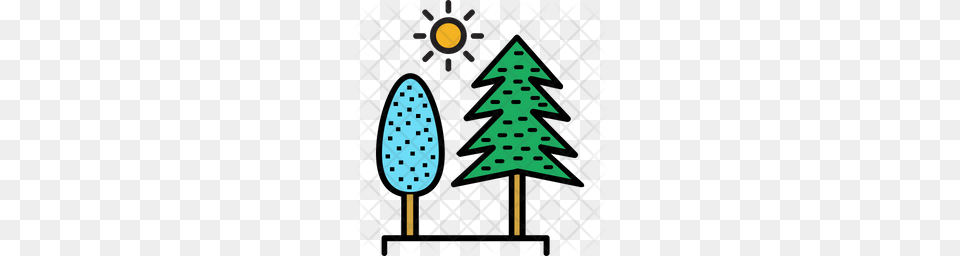 Premium Evergreen Trees Icon Download, Christmas, Christmas Decorations, Festival, Light Png Image