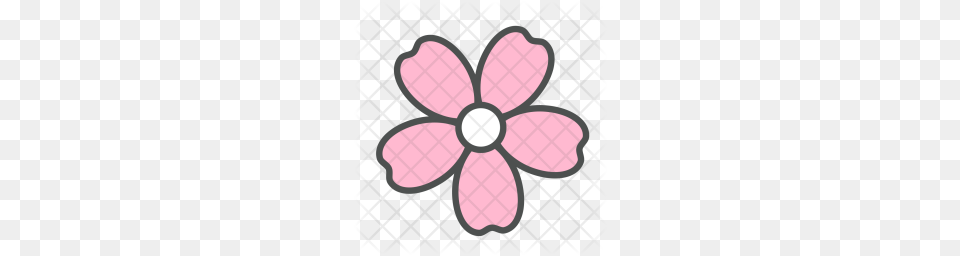 Premium Flower Sakura Blossom Nature Spring Icon Anemone, Plant, Daisy, Petal Free Png Download