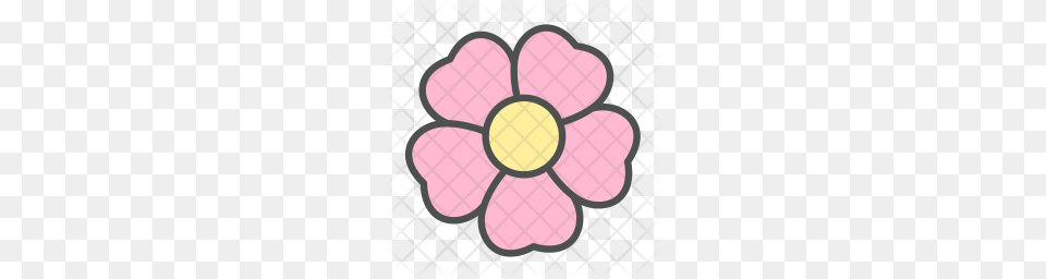 Premium Flower Wild Rose Blossom Nature Spring Icon Anemone, Daisy, Plant, Petal Free Png Download