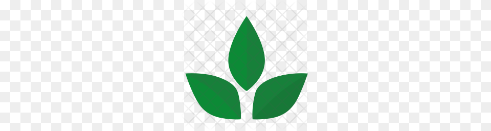 Premium Green Tea Icon Download, Leaf, Plant, Herbal, Herbs Png Image