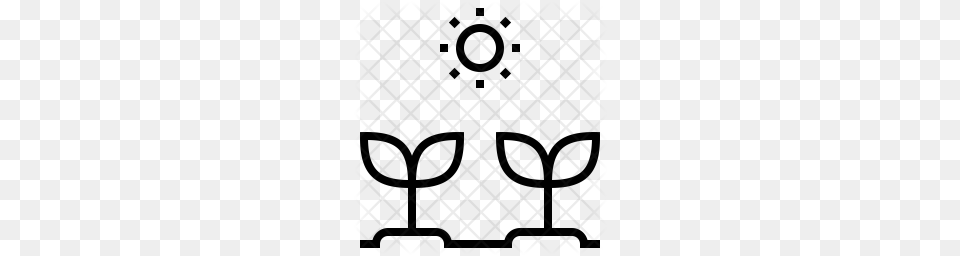 Premium Grow Seed Icon Download, Pattern, Texture Png Image