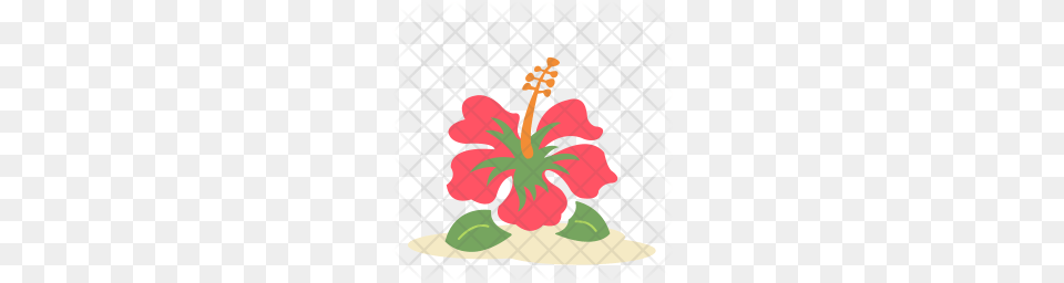 Premium Hibiscus Flower Icon Download, Plant, Anther, Face, Head Png