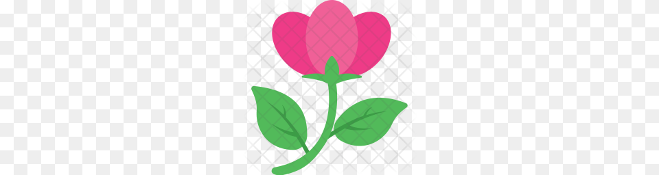 Premium Hibiscus Icon Download, Flower, Leaf, Petal, Plant Png