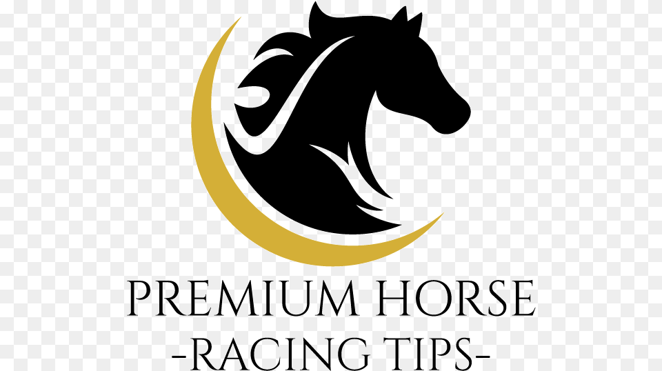 Premium Horse Racing Tips Northside College Prep High School Logo, Outdoors, Night, Nature, Astronomy Png Image