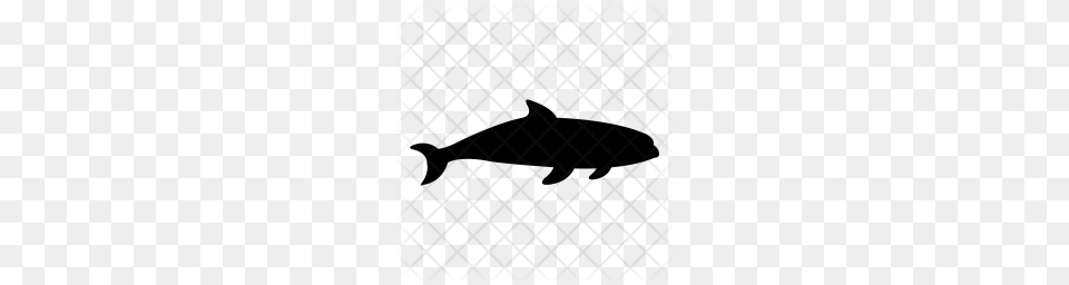 Premium Killer Whale Icon Download, Pattern Free Transparent Png