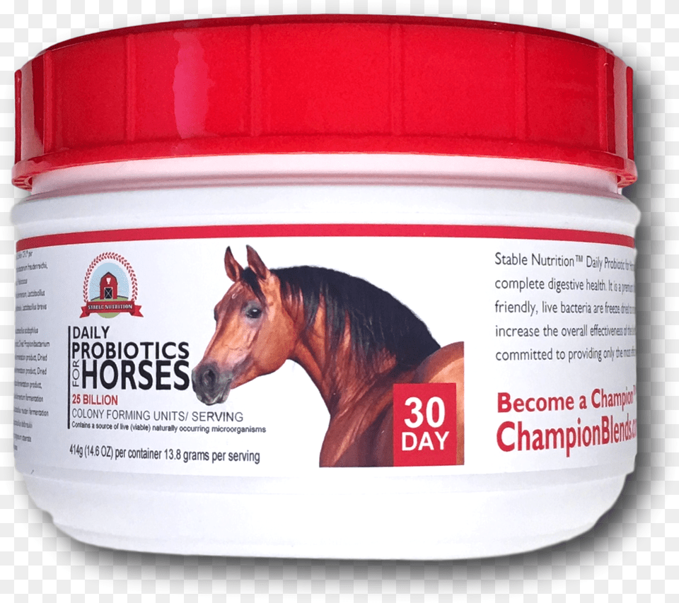 Premium Kynsa Chalk Markers 40 Chalkboard Labels Horse Probiotic, Animal, Mammal Png Image