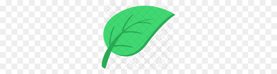 Premium Leaf Icon Download, Green, Herbal, Herbs, Plant Png Image
