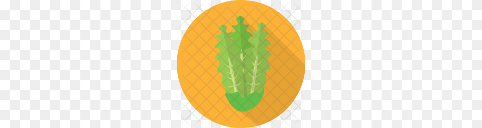 Premium Lettuce Icon Download, Food, Plant, Produce, Vegetable Free Png