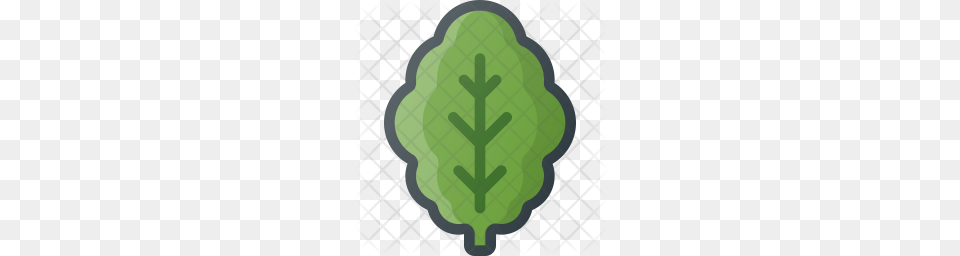 Premium Lettuce Icon Download, Green, Leaf, Plant Free Png
