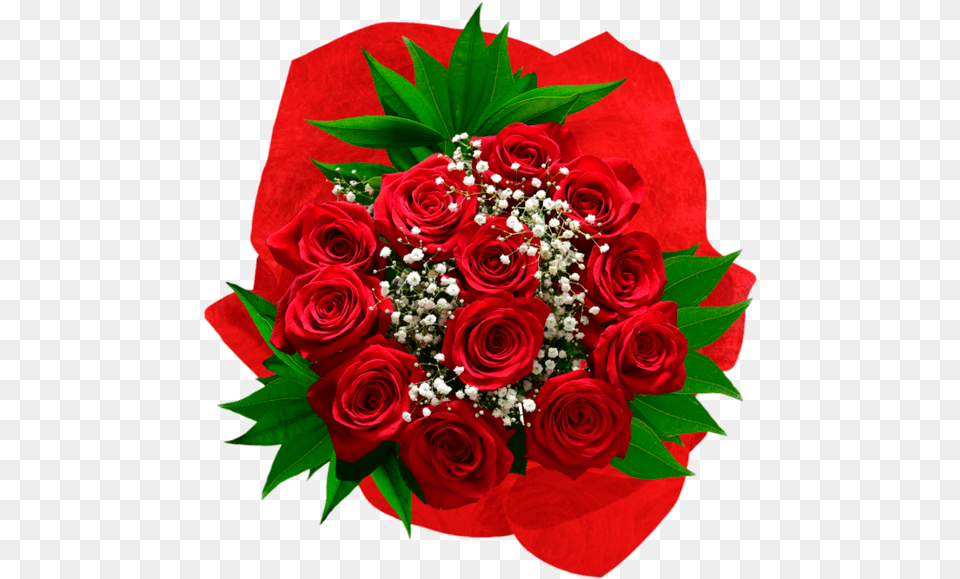 Premium Long Stem Red Rose Bouquet Floribunda, Flower, Flower Arrangement, Flower Bouquet, Plant Free Png