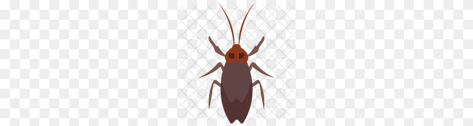 Premium Longhorn Beetle Icon In Svg Eps Ai Ico, Animal, Person, Cockroach, Insect Free Png Download