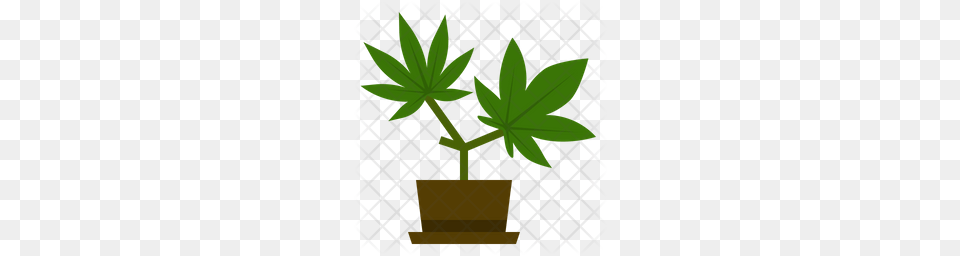 Premium Marijuana Leaves Icon Download, Leaf, Plant, Potted Plant, Tree Png Image