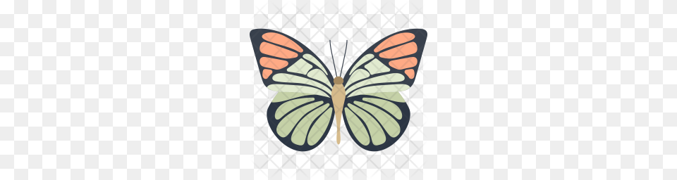 Premium Monarch Butterfly Icon Download, Animal, Insect, Invertebrate Free Transparent Png