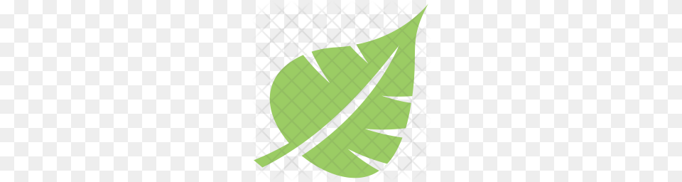 Premium Palm Leaf Icon Download, Plant, Blackboard Png
