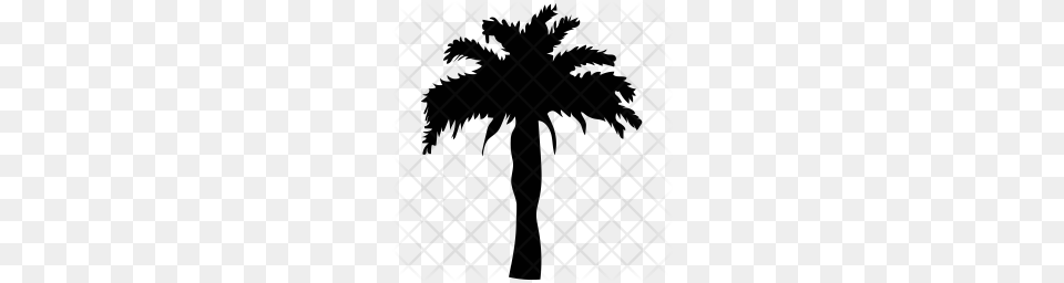 Premium Palm Tree Icon, Plant, Silhouette, Pattern, Potted Plant Png
