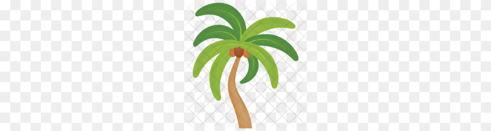Premium Palm Tree Icon, Leaf, Palm Tree, Plant, Food Free Png