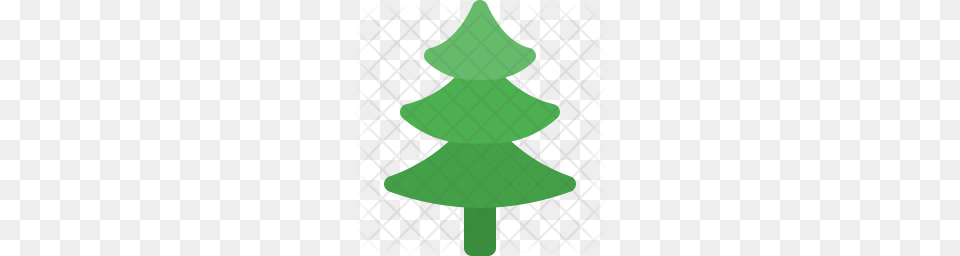 Premium Pine Tree Icon Download, Green, Plant, Christmas, Christmas Decorations Png