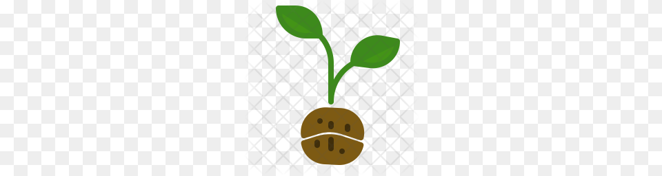 Premium Planting Coffee Icon Leaf, Plant, Food, Produce Free Png Download