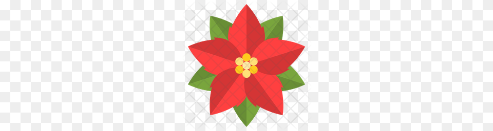 Premium Poinsettia Icon Download, Art, Plant, Pattern, Graphics Free Png