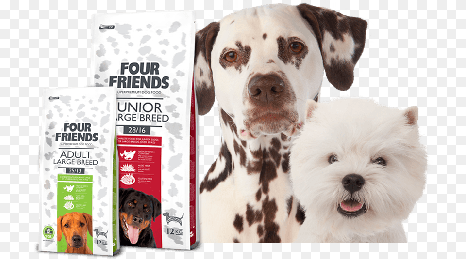 Premium Quality Dog Food Dog Food Banner, Animal, Canine, Mammal, Pet Free Png
