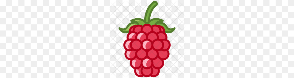 Premium Raspberry Icon Download, Berry, Food, Fruit, Plant Png