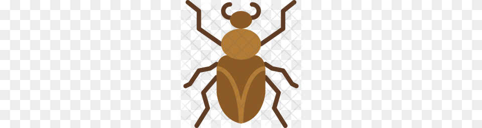 Premium Roach Icon, Animal, Person Free Transparent Png