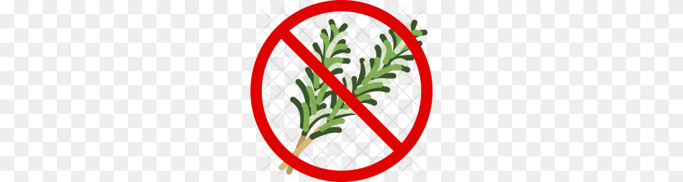 Premium Rosemary Icon Download, Herbal, Herbs, Leaf, Plant Png Image