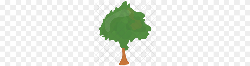 Premium Round Shaped Tree Icon Green, Plant, Leaf Free Png Download