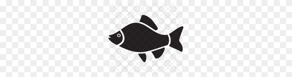 Premium Salmon Fish Icon, Animal, Sea Life Free Transparent Png