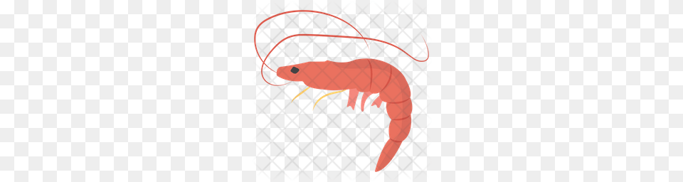 Premium Shrimp Icon Download, Food, Seafood, Animal, Sea Life Png Image