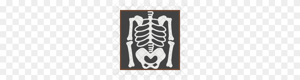 Premium Skeleton Icon Free Png Download