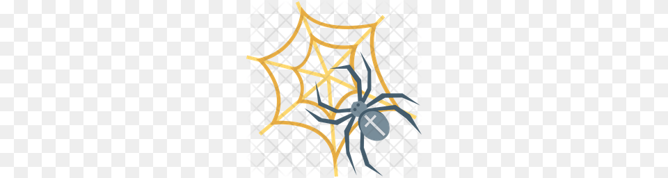 Premium Spider Web Icon Download, Animal, Invertebrate Png Image