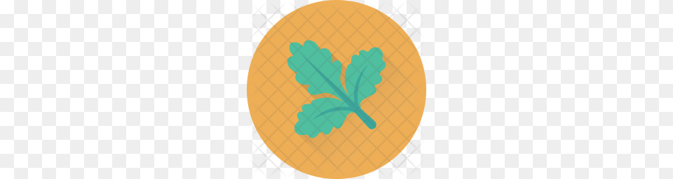 Premium Spinach Icon Download, Leaf, Plant, Food, Produce Png Image