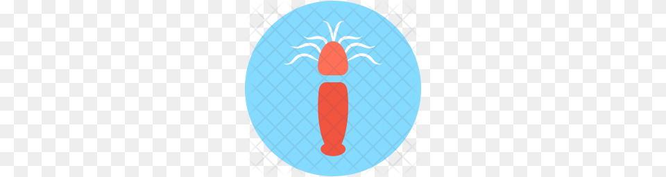 Premium Squid Icon Download, Animal, Crawdad, Food, Invertebrate Free Png