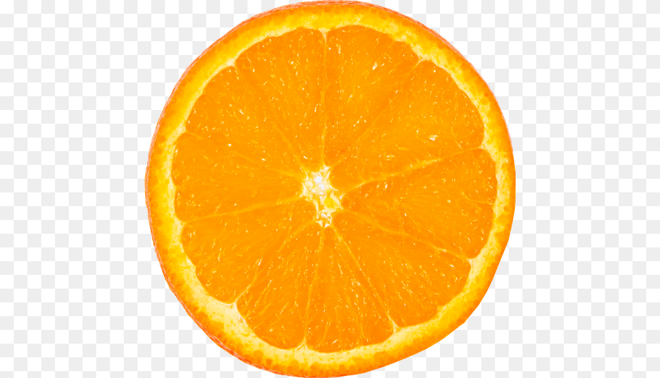 Premium Stock Photos, Citrus Fruit, Food, Fruit, Orange Free Png