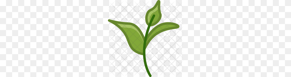 Premium Tea Icon Download Formats, Leaf, Plant, Green, Herbal Free Transparent Png