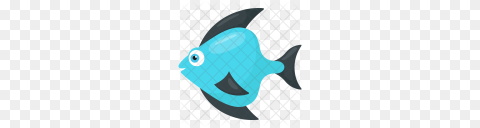 Premium Teardrop Icon, Animal, Sea Life, Fish, Angelfish Free Transparent Png