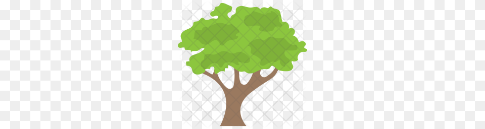 Premium Tree Icon Green, Plant, Potted Plant, Vegetation Free Png Download