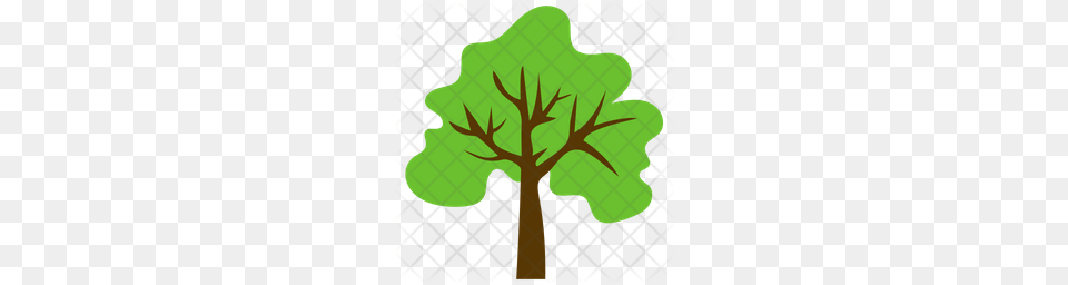 Premium Trees Flat Icons Icon Pack Download, Leaf, Plant, Tree Free Png