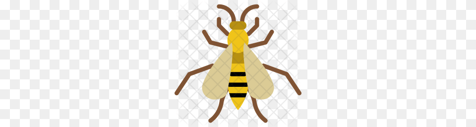 Premium Wasp Icon Download, Animal, Bee, Insect, Invertebrate Free Png
