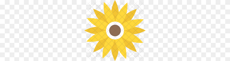 Premium Water Lily Icon, Daisy, Flower, Plant, Sunflower Free Transparent Png